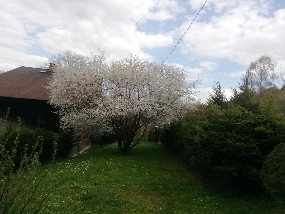Rzeczne Zacisze Hotel Ustrzyki Dolne Kültér fotó